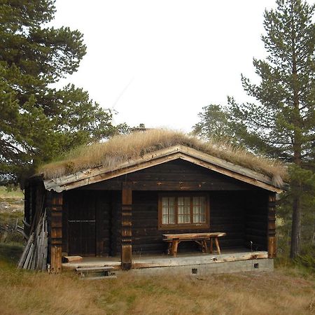 Lusaeter Timber Cabins Heidal Номер фото